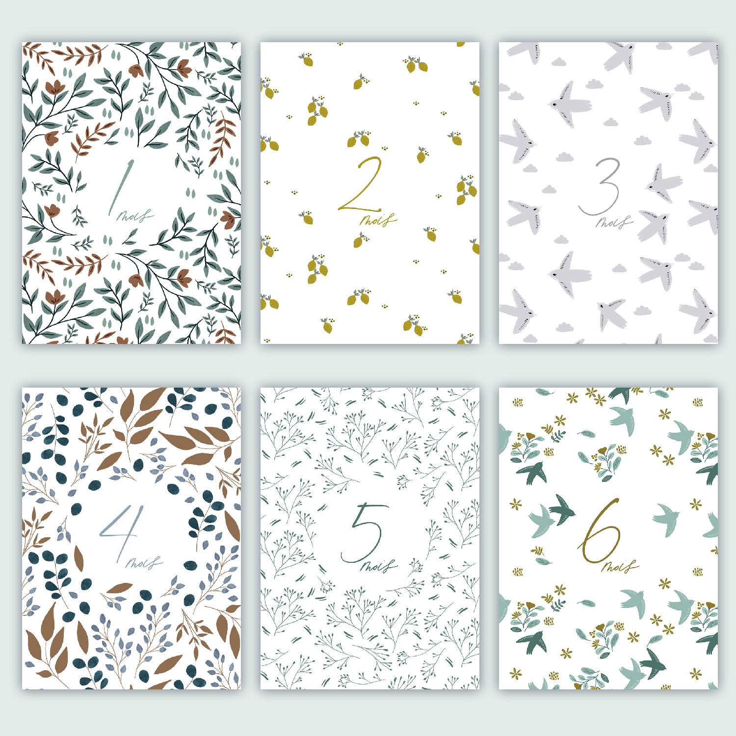 Cartes Etapes Bebe 12 Premiers Mois Les Manies De Marion Designer Graphique Illustratrice