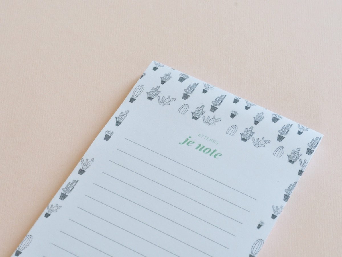 bloc notes motifs cactus, les manies de Marion, papeterie française haut de gamme